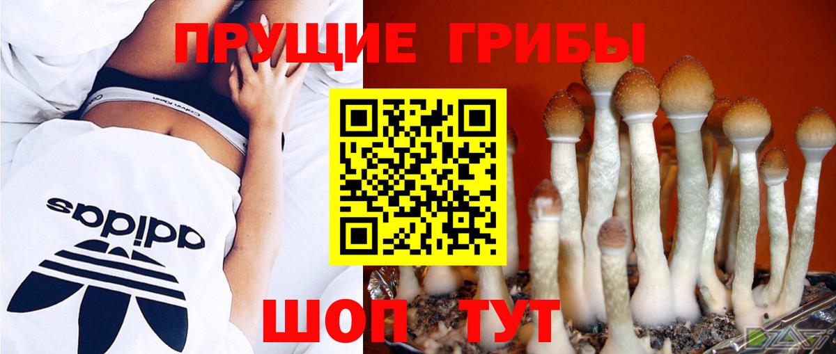 Галлюциногенные грибы GOLDEN TEACHER Нарткала