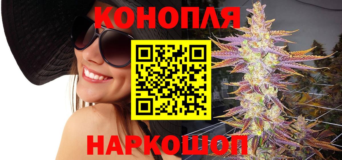 Бошки Шишки планчик Нарткала